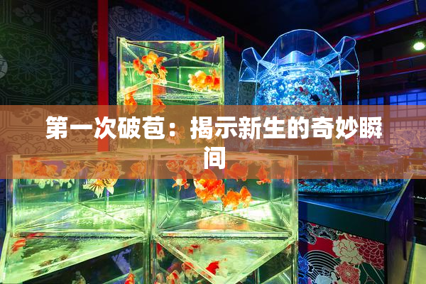 第一次破苞：揭示新生的奇妙瞬间