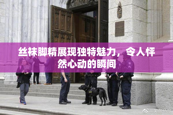 丝袜脚精展现独特魅力，令人怦然心动的瞬间