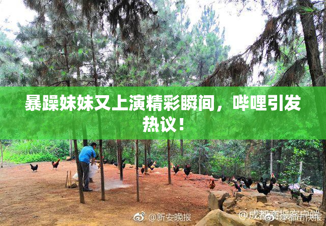暴躁妹妹又上演精彩瞬间，哔哩引发热议！