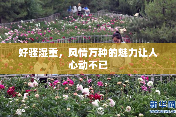好骚湿重，风情万种的魅力让人心动不已