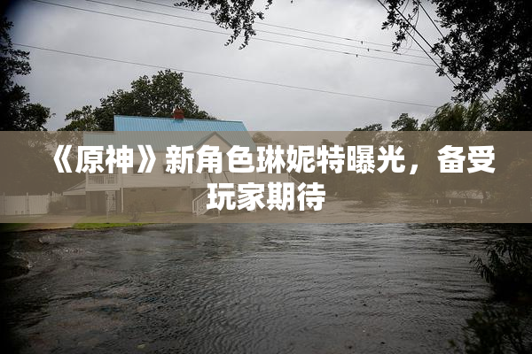 《原神》新角色琳妮特曝光，备受玩家期待