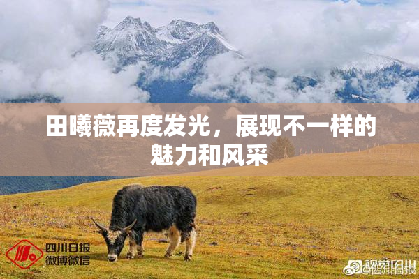 田曦薇再度发光，展现不一样的魅力和风采