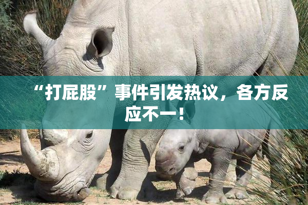 “打屁股”事件引发热议，各方反应不一！