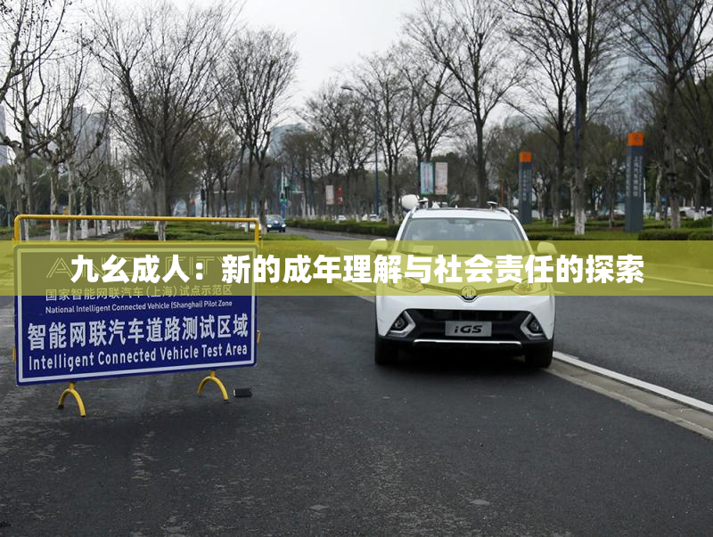 九幺成人：新的成年理解与社会责任的探索