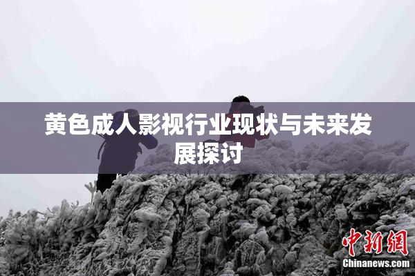 黄色成人影视行业现状与未来发展探讨