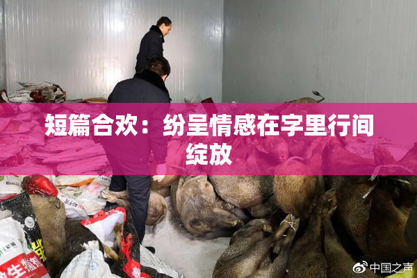 短篇合欢：纷呈情感在字里行间绽放