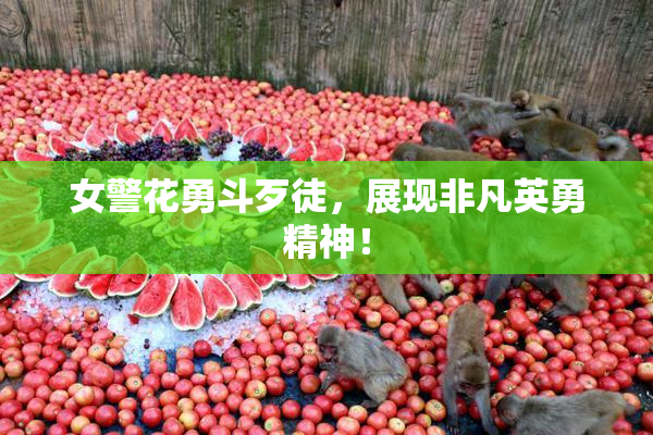 女警花勇斗歹徒，展现非凡英勇精神！