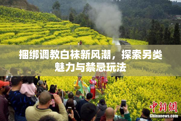 捆绑调教白袜新风潮，探索另类魅力与禁忌玩法