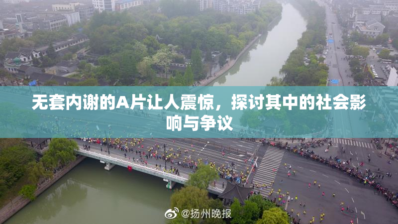 无套内谢的A片让人震惊，探讨其中的社会影响与争议
