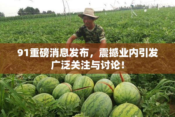 91重磅消息发布，震撼业内引发广泛关注与讨论！