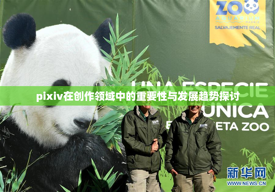 pixiv在创作领域中的重要性与发展趋势探讨