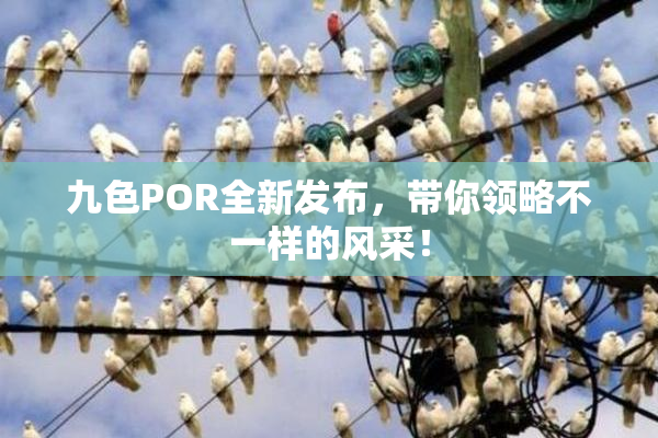 九色POR全新发布，带你领略不一样的风采！