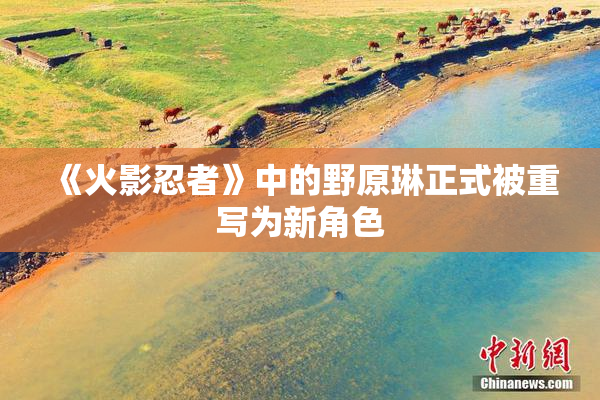 《火影忍者》中的野原琳正式被重写为新角色