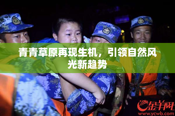 青青草原再现生机，引领自然风光新趋势