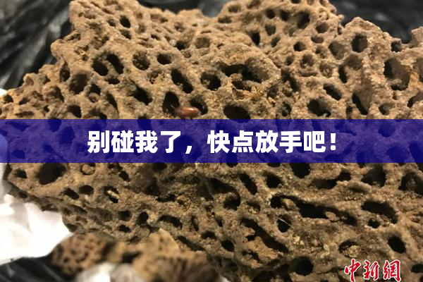 别碰我了，快点放手吧！