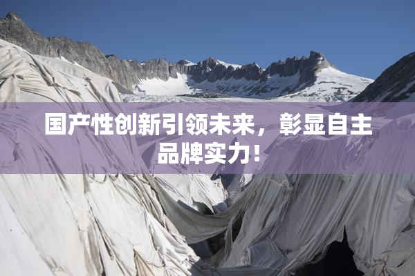 国产性创新引领未来，彰显自主品牌实力！