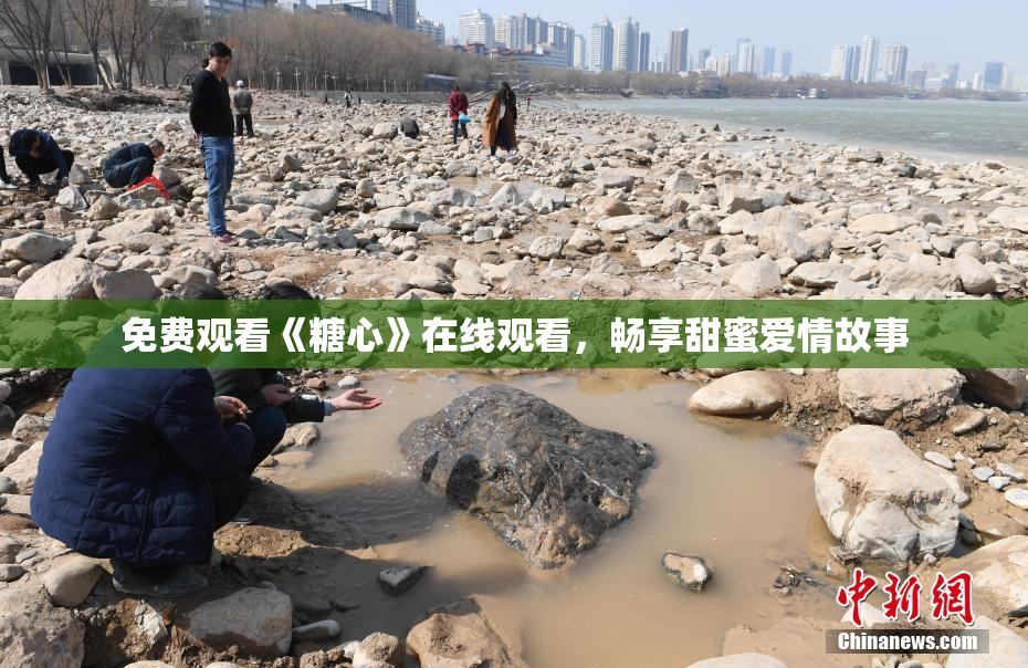 免费观看《糖心》在线观看，畅享甜蜜爱情故事