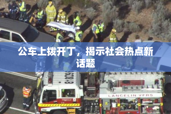 公车上拨开丁，揭示社会热点新话题