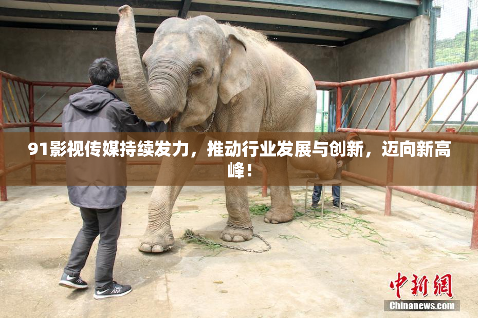 91影视传媒持续发力，推动行业发展与创新，迈向新高峰！