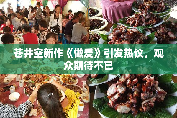 苍井空新作《做爰》引发热议，观众期待不已