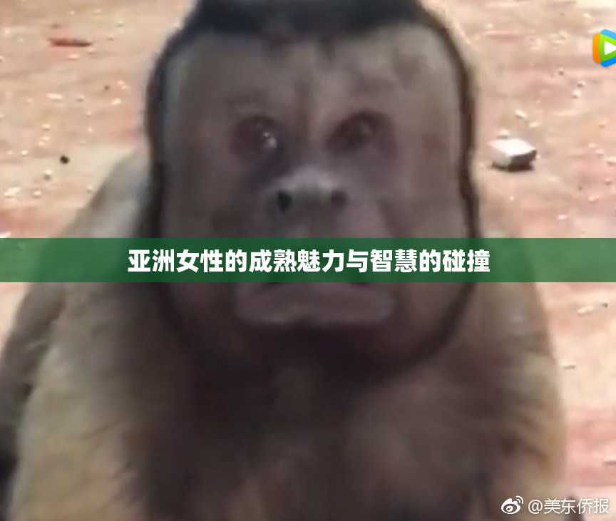 亚洲女性的成熟魅力与智慧的碰撞