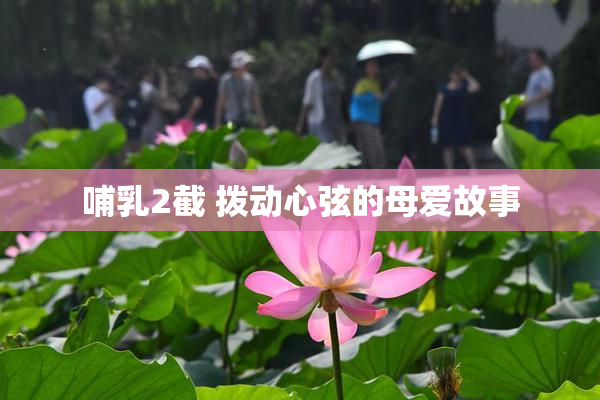 哺乳2截 拨动心弦的母爱故事