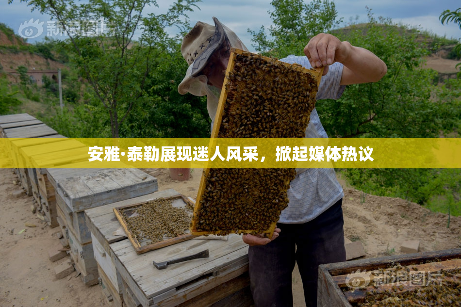 安雅·泰勒展现迷人风采，掀起媒体热议