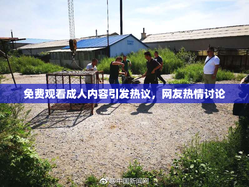 免费观看成人内容引发热议，网友热情讨论
