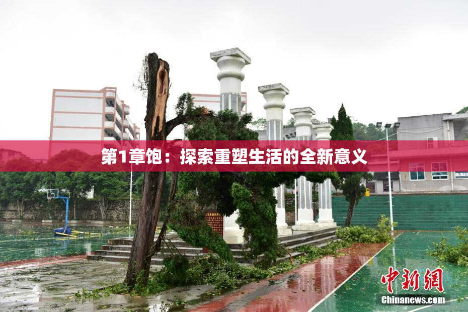 第1章饱：探索重塑生活的全新意义