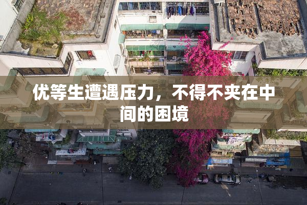 优等生遭遇压力，不得不夹在中间的困境