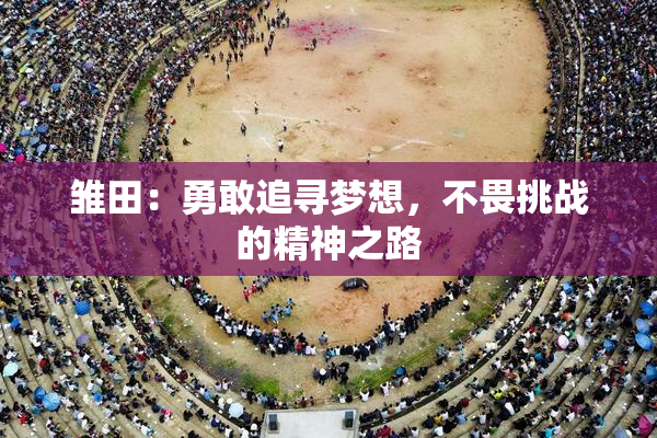 雏田：勇敢追寻梦想，不畏挑战的精神之路