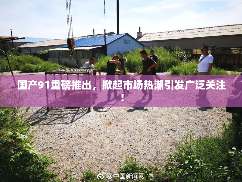 国产91重磅推出，掀起市场热潮引发广泛关注！