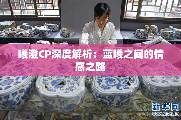 曦澄CP深度解析：蓝曦之间的情感之路