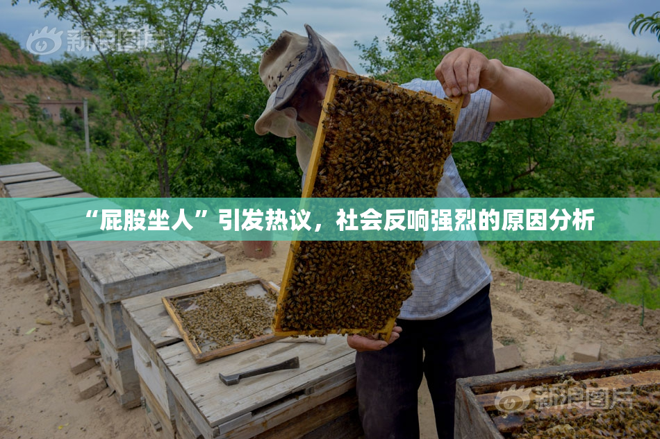 “屁股坐人”引发热议，社会反响强烈的原因分析
