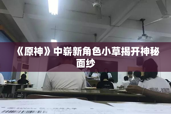 《原神》中崭新角色小草揭开神秘面纱