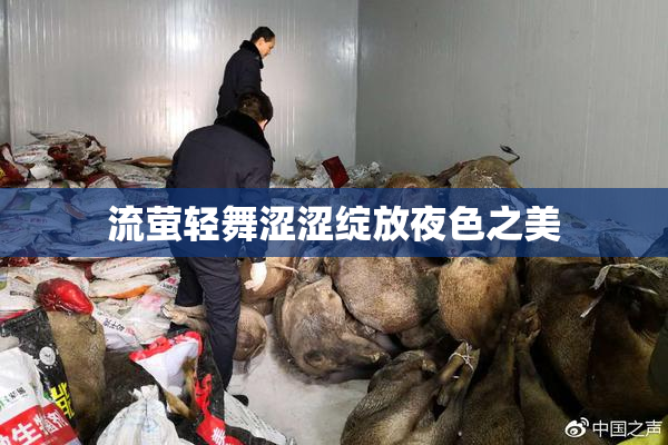 流萤轻舞涩涩绽放夜色之美