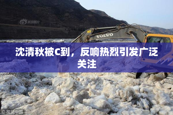 沈清秋被C到，反响热烈引发广泛关注