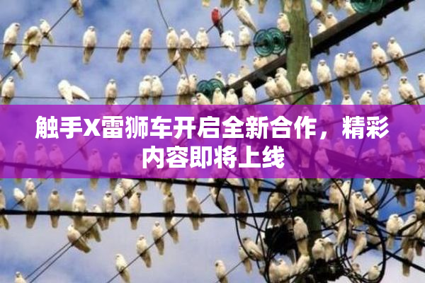 触手X雷狮车开启全新合作，精彩内容即将上线