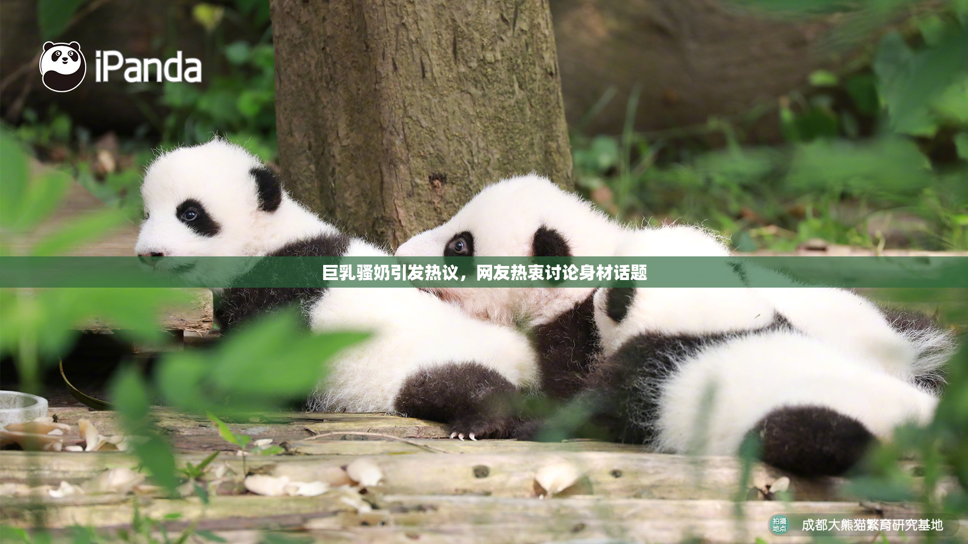 巨乳骚奶引发热议，网友热衷讨论身材话题