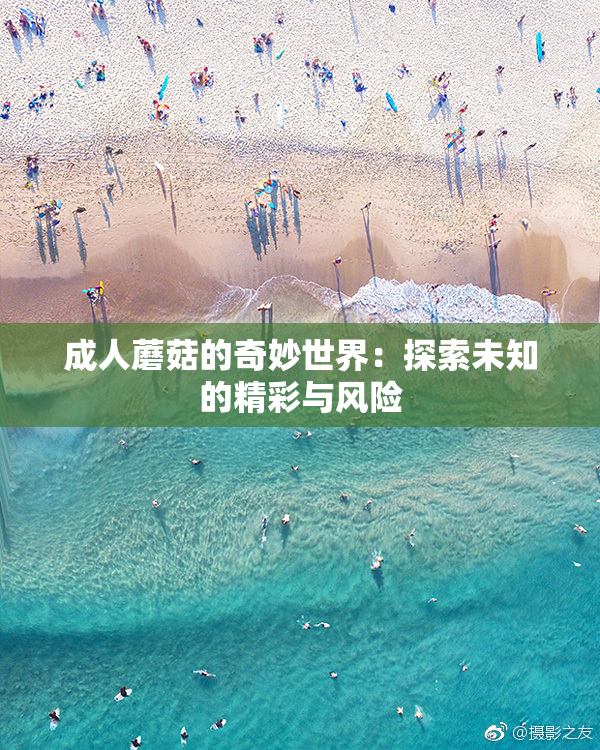 成人蘑菇的奇妙世界：探索未知的精彩与风险