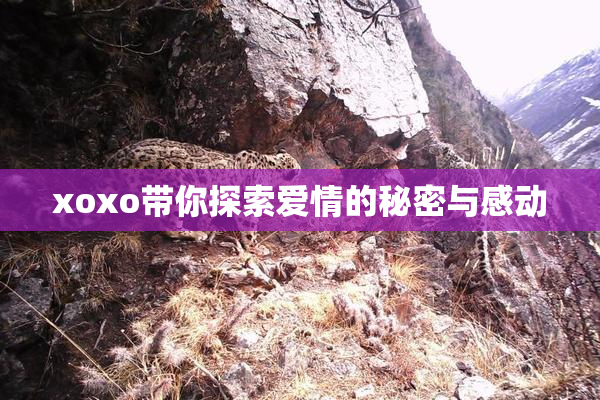 xoxo带你探索爱情的秘密与感动
