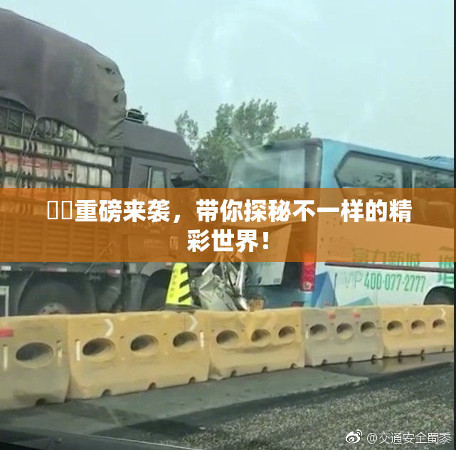 妺妺重磅来袭，带你探秘不一样的精彩世界！