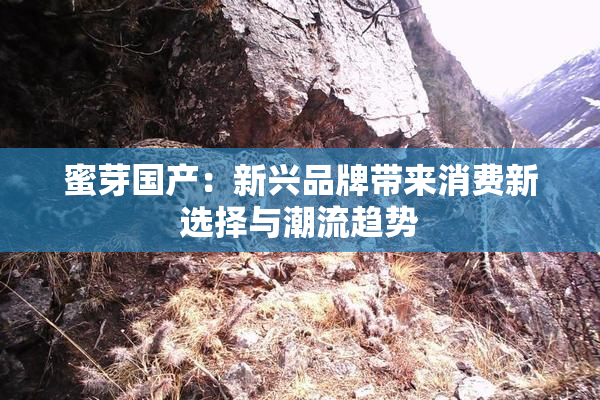 蜜芽国产：新兴品牌带来消费新选择与潮流趋势