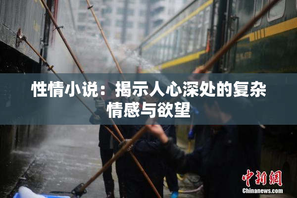 性情小说：揭示人心深处的复杂情感与欲望