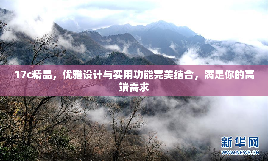 17c精品，优雅设计与实用功能完美结合，满足你的高端需求
