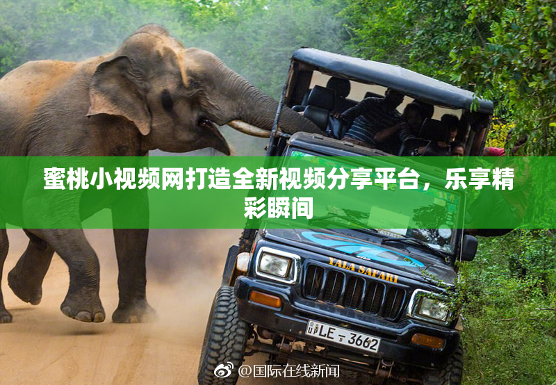 蜜桃小视频网打造全新视频分享平台，乐享精彩瞬间