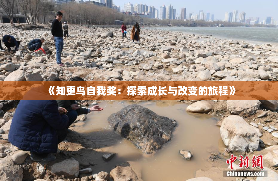 《知更鸟自我奖：探索成长与改变的旅程》