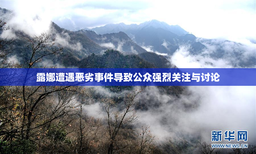 露娜遭遇恶劣事件导致公众强烈关注与讨论