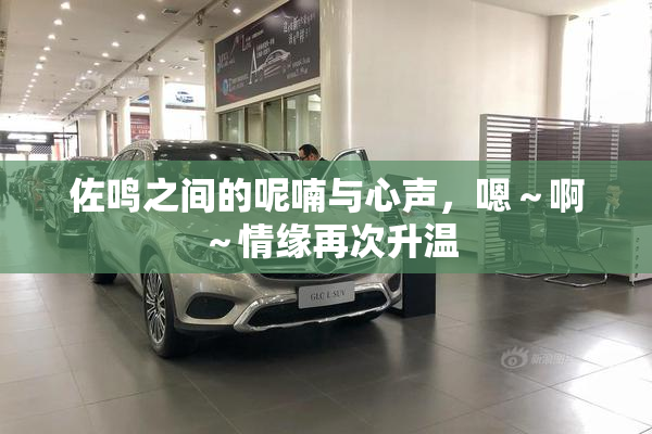 佐鸣之间的呢喃与心声，嗯～啊～情缘再次升温