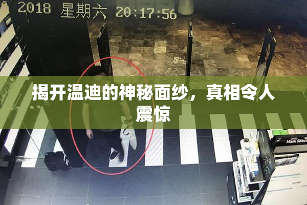 揭开温迪的神秘面纱，真相令人震惊